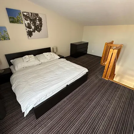 Apartmán Liptov Jasna #304 *